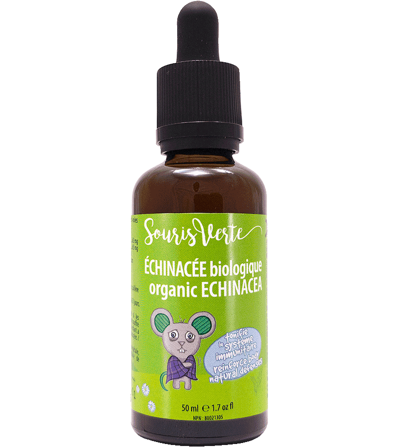 Echinacee biologique